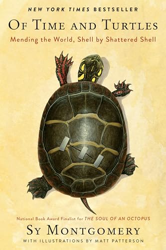 Of Time and Turtles: Mending the World, Shell by Shattered Shell von Mariner Books