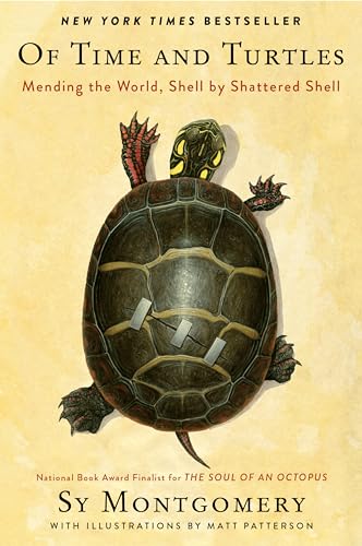 Of Time and Turtles: Mending the World, Shell by Shattered Shell: A heartwarming compassionate portrait of injured turtles, perfect for nature lovers. Of Time and Turtles: Mending the World, Shell by Shattered Shell: A heartwarming compassionate portrait of injured turtles, perfect for nature lovers.
