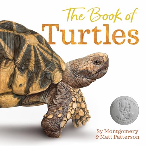 The Book of Turtles von Clarion Books
