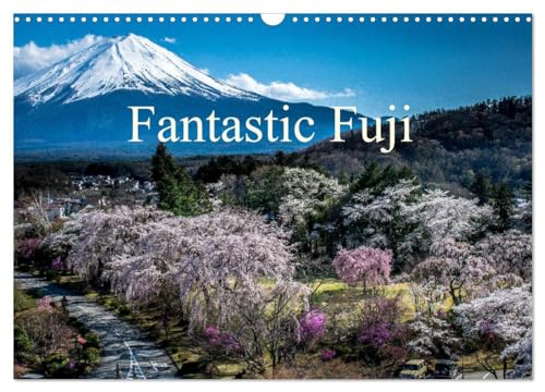 Fantastic Fuji (Wall Calendar 2025 DIN A3 landscape), CALVENDO 12 Month Wall Calendar: The world's most fantastic place von Calvendo