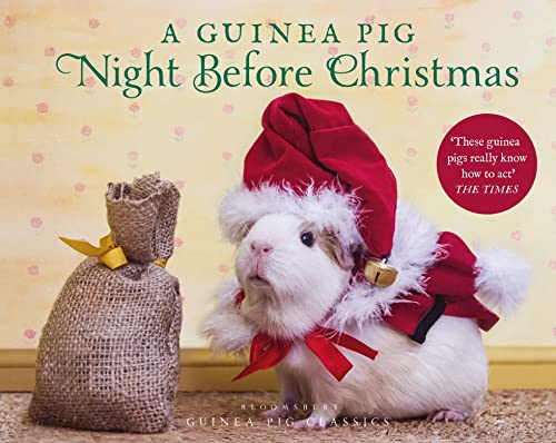 A Guinea Pig Night Before Christmas (Guinea Pig Classics) von Bloomsbury