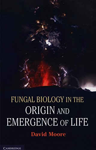 Fungal Biology in the Origin and Emergence of Life: Ausgezeichnet: Choice Outstanding Academic Title 2013 Fungal Biology in the Origin and Emergence of Life: Ausgezeichnet: Choice Outstanding Academic Title 2013 von Cambridge University Press