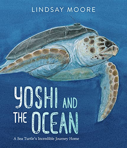 Yoshi and the Ocean: A Sea Turtle's Incredible Journey Home von Greenwillow Books