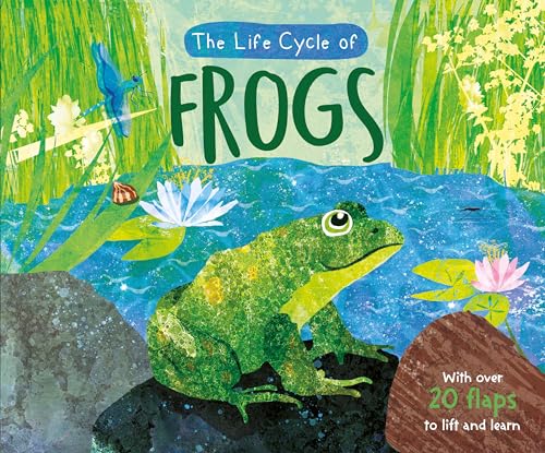 The Life Cycle of Frogs (Life Cycle Board Book) von North Parade Publishing