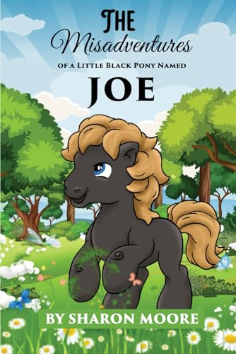 The Misadventures of a Little Black Pony Named JOE The Misadventures of a Little Black Pony Named JOE von Panda Publishing Agency