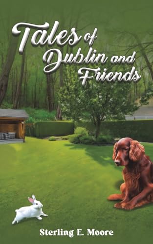 Tales of Dublin and Friends von Austin Macauley Publishers