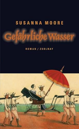 Gefährliche Wasser: Roman