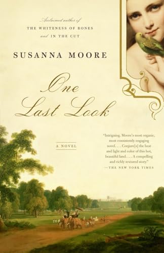 One Last Look: A Novel (Vintage Contemporaries)