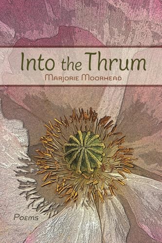 Into the Thrum Into the Thrum von The Poetry Box
