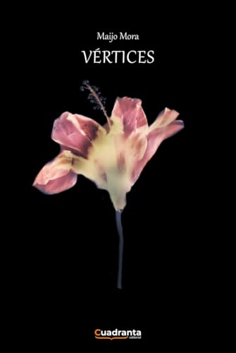 Vértices von CUADRANTA