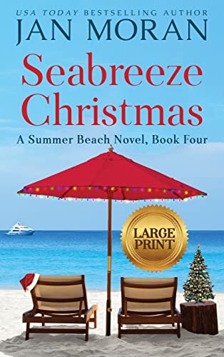 Seabreeze Christmas (Summer Beach, Band 4)
