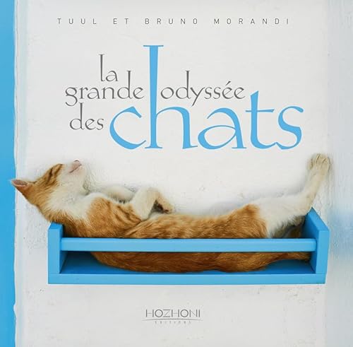 La grande odyssée des chats von HOZHONI