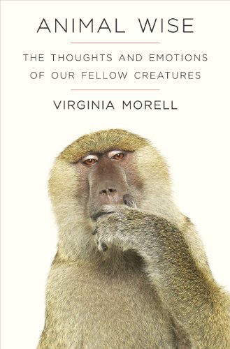 Animal Wise: The Thoughts and Emotions of Animals