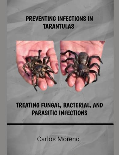 PREVENTING INFECTIONS IN TARANTULAS: TREATING FUNGAL, BACTERIAL, AND PARASITIC INFECTIONS von Independently published