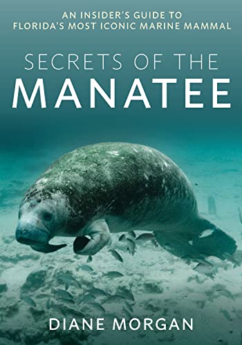 Secrets of the Manatee: An Insider's Guide to Florida’s Most Iconic Marine Mammal von Pineapple Press Inc.,U.S.