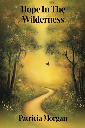 Hope In The Wilderness von Amazon Writing & Publishers