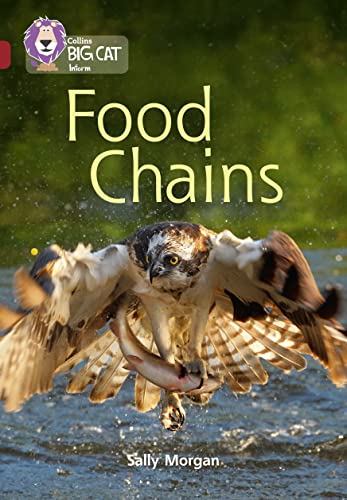 Food Chains: Band 14/Ruby (Collins Big Cat)