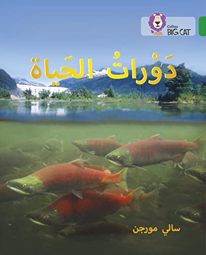 Life Cycles: Level 15 (Collins Big Cat Arabic Reading Programme)