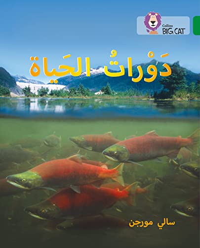 Life Cycles: Level 15 (Collins Big Cat Arabic Reading Programme) von HarperCollins UK