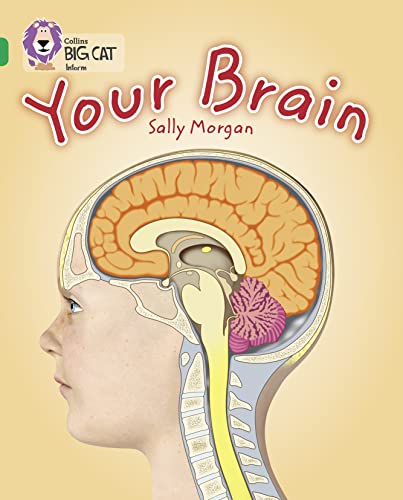 Your Brain: Band 15/Emerald (Collins Big Cat) von Collins