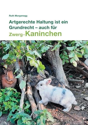 Artgerechte Haltung ist ein Grundrecht - auch für (Zwerg-) Kaninchen