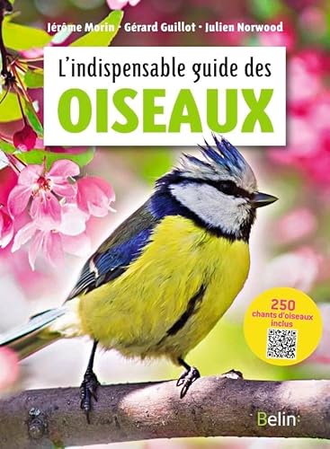 L'indispensable guide des oiseaux von Belin