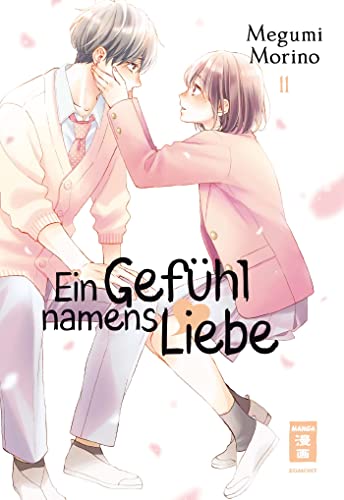 Ein Gefühl namens Liebe 11 von Egmont Manga