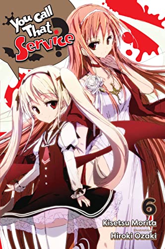 You Call That Service?, Vol. 6 (light novel): Volume 6 (YOU CALL THAT SERVICE LIGHT NOVEL SC)