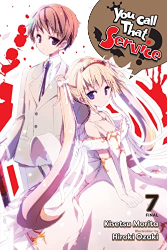 You Call That Service?, Vol. 7 (light novel): Volume 7 (YOU CALL THAT SERVICE LIGHT NOVEL SC, Band 7)