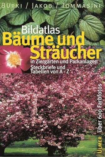 Bildatlas Bäume und Sträucher: In Ziergärten und Parkanlagen. Steckbriefe und Tabellen von A - Z: Streckbriefe und Tabellen von A - Z (Bildatlanten) von Ulmer Eugen Verlag