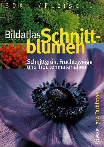 Bildatlas Schnittblumen: Schnittgrün, Fruchtzweige und Trockenmaterialien. Beschreibung, Verwendung, Pflege