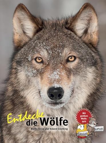 Entdecke die Wölfe: Mit großem Wolfsquiz (Entdecke - Die Reihe mit der Eule: Kindersachbuchreihe) von NTV Natur und Tier-Verlag