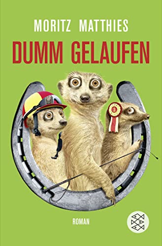 Dumm gelaufen: Roman