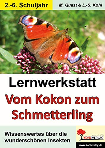 Lernwerkstatt Vom Kokon zum Schmetterling: Informationen - Kurztexte - Aufgaben - Sinnerfassendes Lesen - Mit Lösungen
