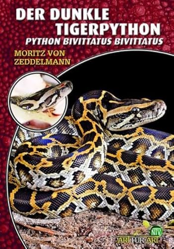Der Dunkle Tigerpython: Python bivittatus bivittatus (Buchreihe Art für Art Terraristik)