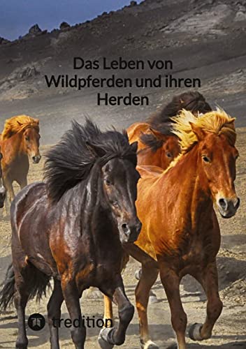 Das Leben von Wildpferden und ihren Herden