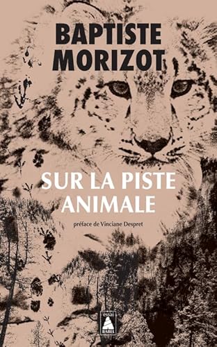 Sur la piste animale