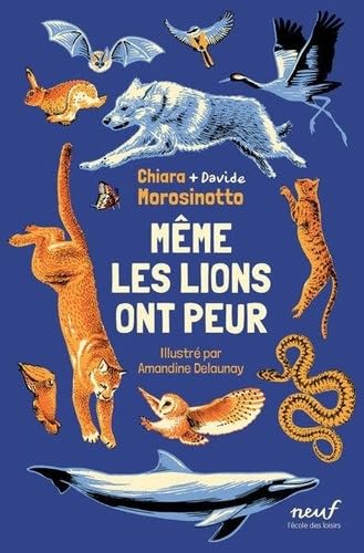 Même les lions ont peur