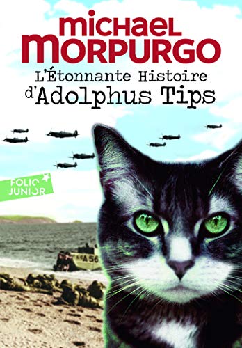 Etonnante Hist Adolp Tips von GALLIMARD JEUNE
