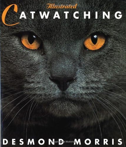 Illustrated Catwatching
