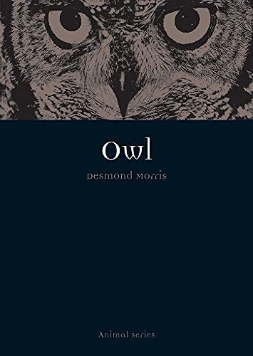 Owl (Animal) von Reaktion Books