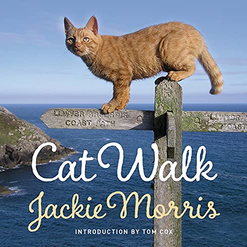 Cat Walk von Graffeg