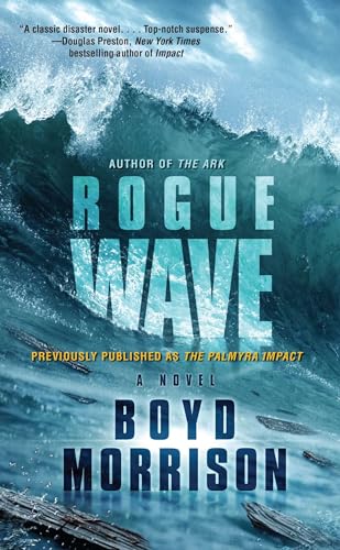 Rogue Wave von Gallery Books