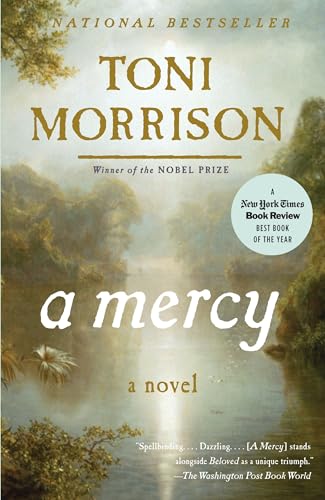 A Mercy (Vintage International) von Vintage