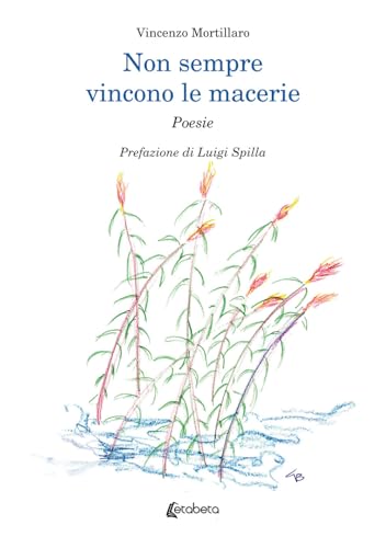 Non sempre vincono le macerie von EBS Print