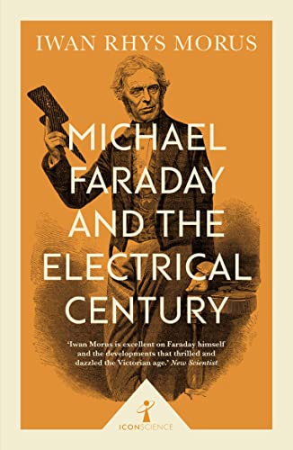 Michael Faraday and the Electrical Century (Icon Science): Iwan Morus