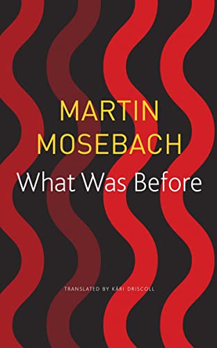 What Was Before (German List) von Seagull Books