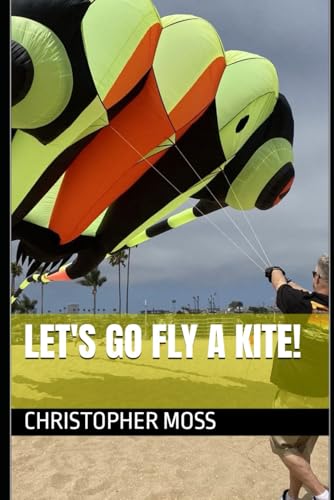 Let's go fly a kite! von Independently published
