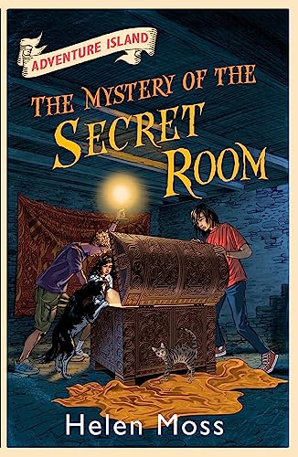 The Mystery of the Secret Room: Book 13 (Adventure Island)