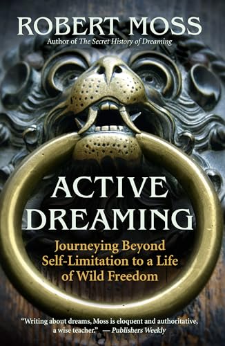 Active Dreaming: Journeying Beyond Self-Limitation to a Life of Wild Freedom von New World Library